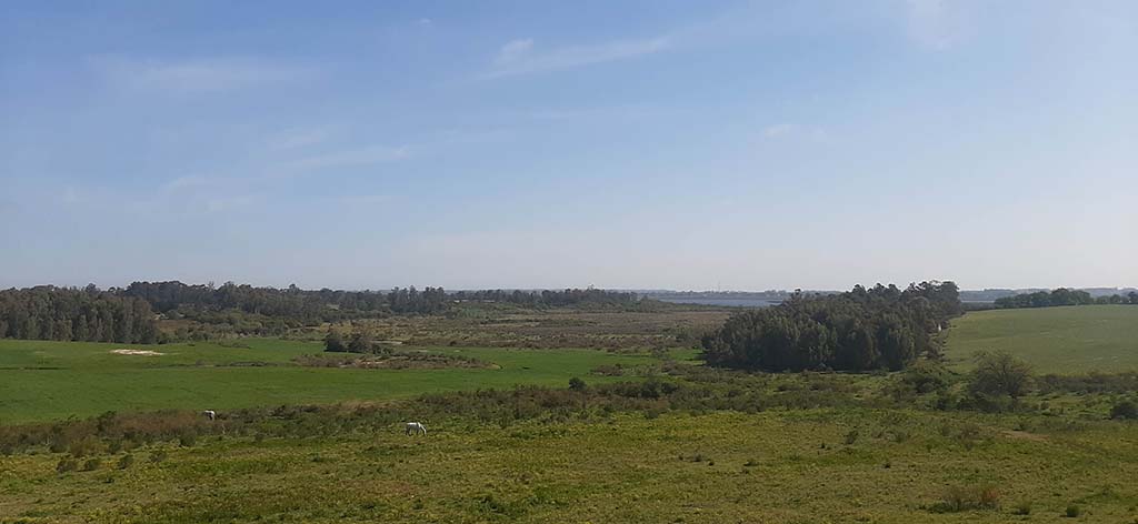 estancia taranco vista campo