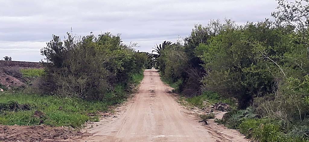 fenocchi camino