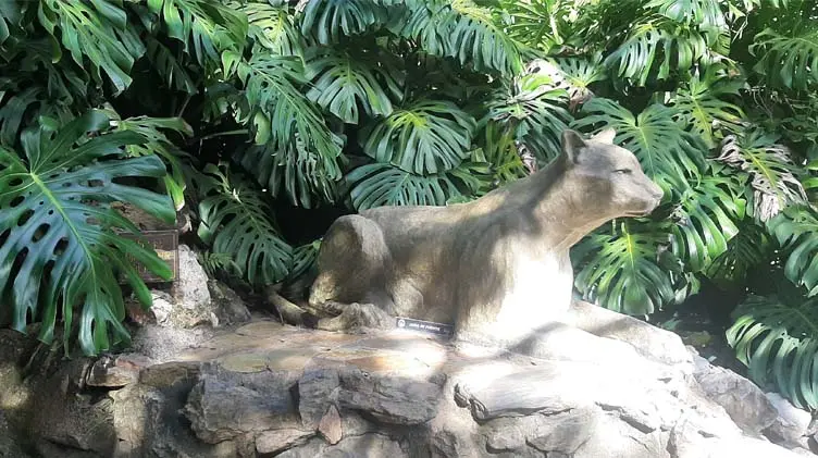 Parque Salus