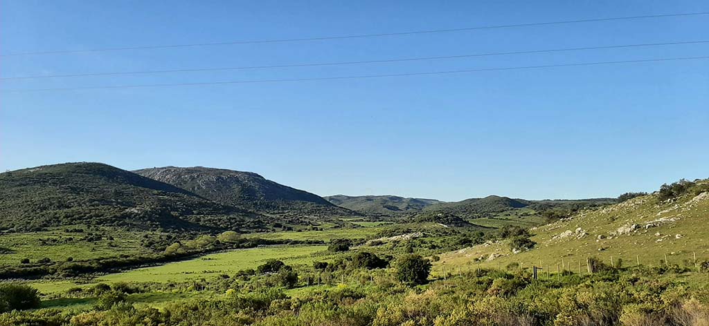 ruta 81