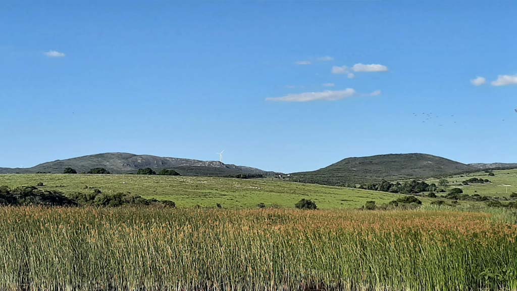 La ruta 81 - Aguas Blancas