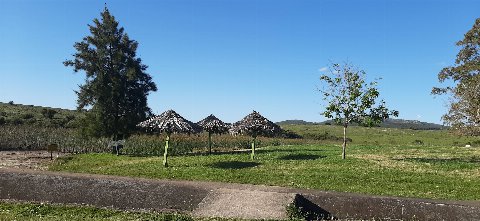 La ruta 81 - Aguas Blancas