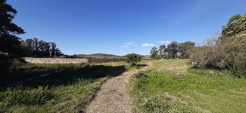 La ruta 81 - Aguas Blancas