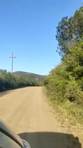 La ruta 81 - Aguas Blancas