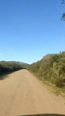 La ruta 81 - Aguas Blancas
