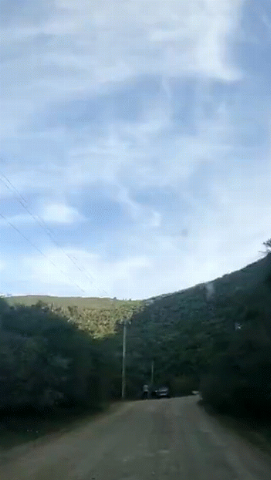 La ruta 81 - Aguas Blancas