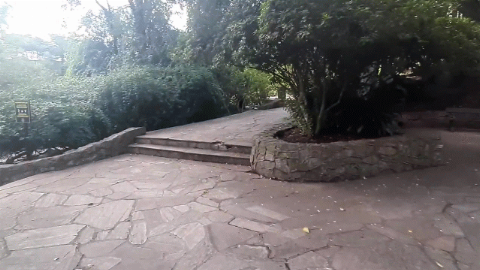Parque Salus