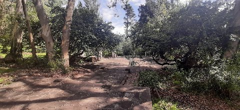 Parque Salus
