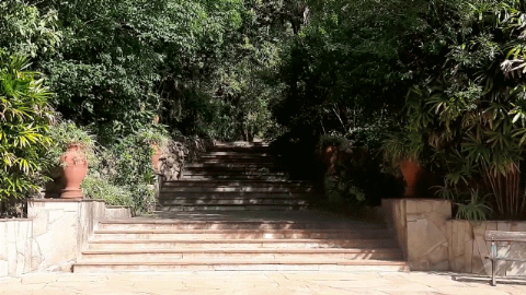 Parque Salus