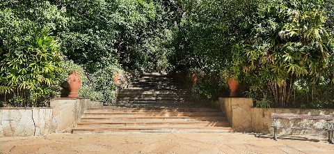 Parque Salus