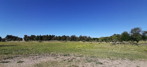 Parque El Retiro