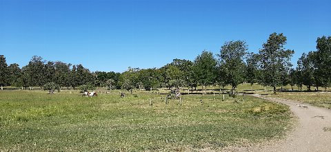 Parque El Retiro