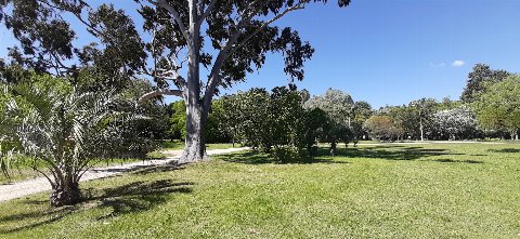 Parque El Retiro