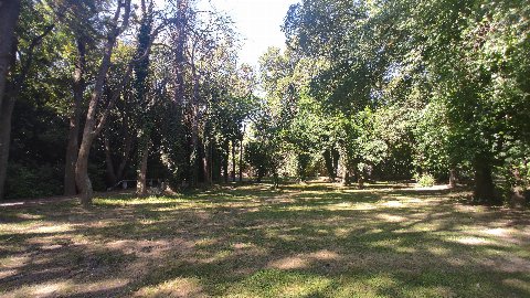 Parque El Retiro