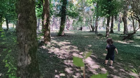 Parque El Retiro