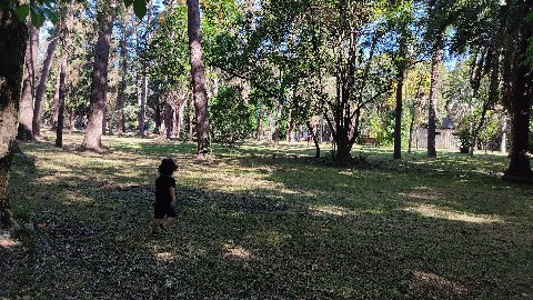 Parque El Retiro