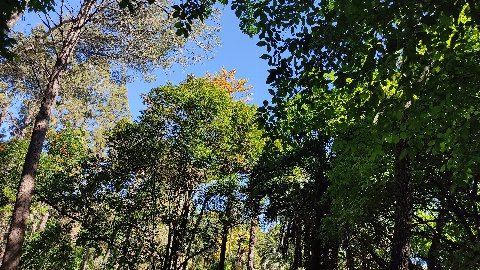 Parque El Retiro