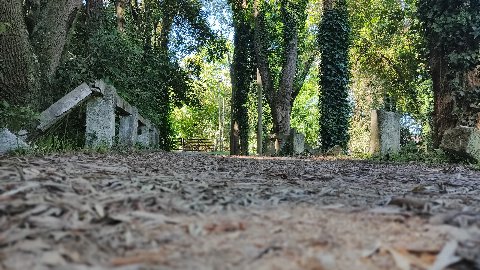 Parque El Retiro