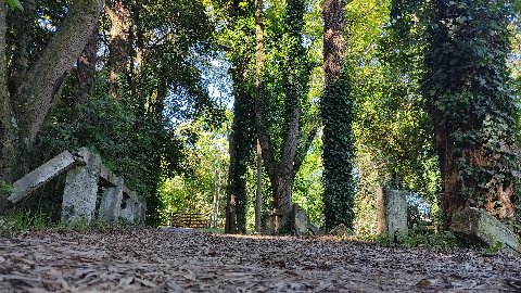 Parque El Retiro