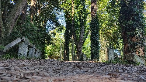 Parque El Retiro
