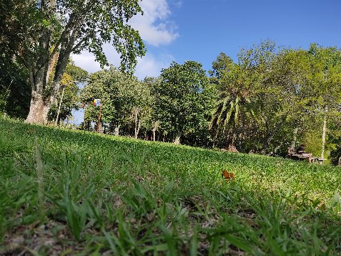 Parque El Retiro