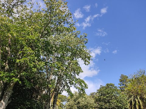 Parque El Retiro