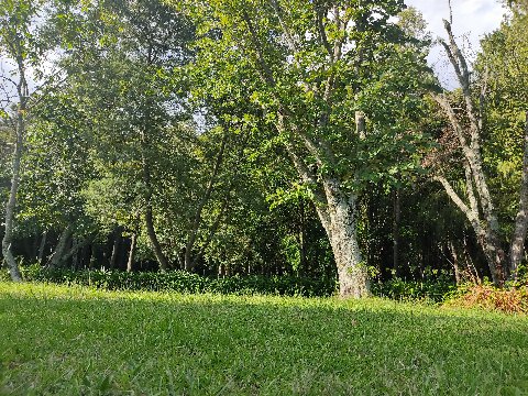 Parque El Retiro
