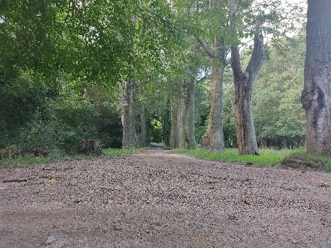 Parque El Retiro