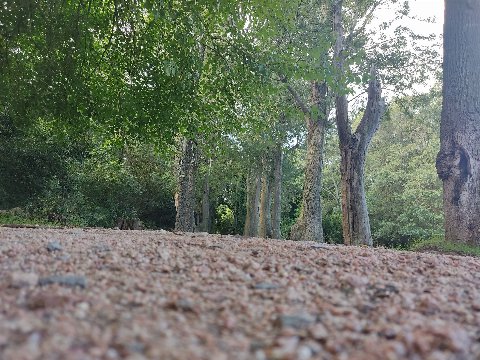 Parque El Retiro