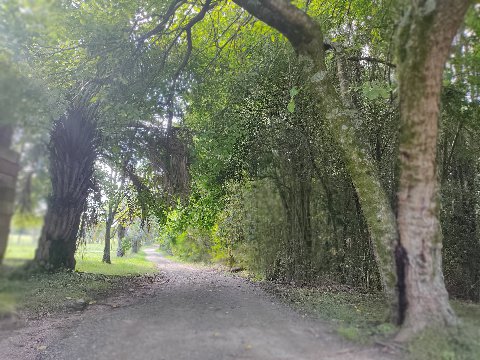 Parque El Retiro