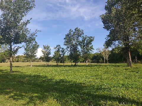 Parque El Retiro