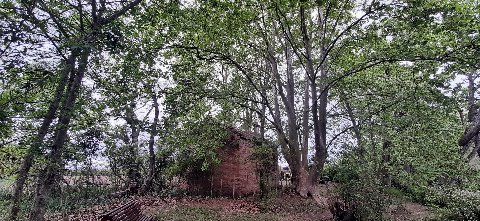 La Capilla Fenocchi