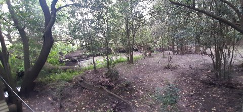 La Capilla Fenocchi