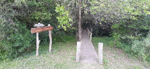 La Capilla Fenocchi