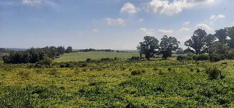 Estancia Taranco